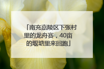 南充嘉陵区下张村里的龙舟赛，40亩的堰塘里来回跑