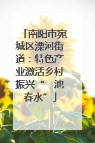 南阳市宛城区溧河街道：特色产业激活乡村振兴“一池春水”