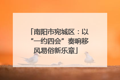南阳市宛城区：以“一约四会”奏响移风易俗新乐章