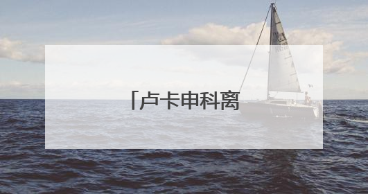 卢卡申科离京前表态