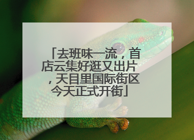 去班味一流，首店云集好逛又出片，天目里国际街区今天正式开街