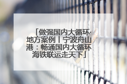 做强国内大循环·地方案例丨宁波舟山港：畅通国内大循环海铁联运走天下