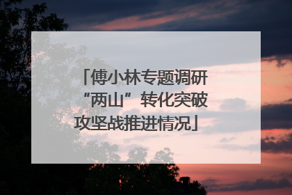 傅小林专题调研“两山”转化突破攻坚战推进情况