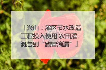 兴山：灌区节水改造工程投入使用 农田灌溉告别“跑冒滴漏”