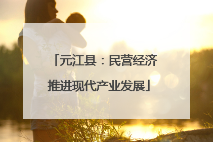 元江县：民营经济推进现代产业发展