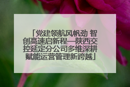 党建领航风帆劲 智创高速启新程—陕西交控延定分公司多维深耕赋能运营管理新跨越