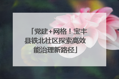 党建+网格！宝丰县铁北社区探索高效能治理新路径