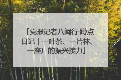 党报记者八闽行·蹲点日记｜一叶茶、一片林、一座厂的振兴接力