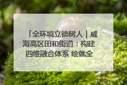 全环境立德树人｜威海高区田和街道：构建四维融合体系 绘就全环境立德树人新画卷