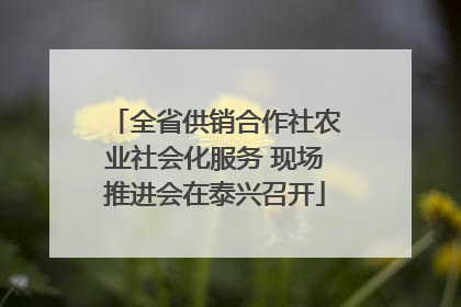 全省供销合作社农业社会化服务 现场推进会在泰兴召开