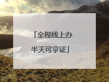 全程线上办 半天可拿证