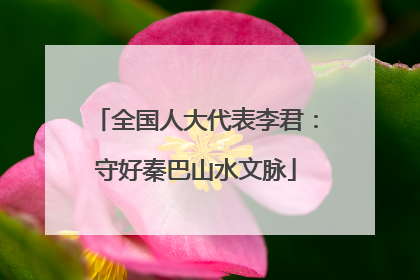 全国人大代表李君：守好秦巴山水文脉