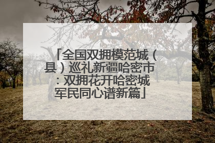 全国双拥模范城（县）巡礼新疆哈密市：双拥花开哈密城 军民同心谱新篇