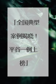 全国典型案例揭晓！平谷一例上榜