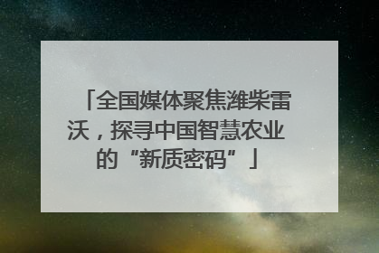 全国媒体聚焦潍柴雷沃，探寻中国智慧农业的“新质密码”