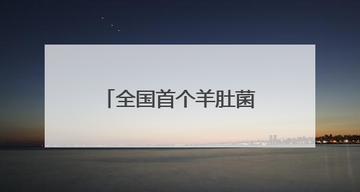 全国首个羊肚菌“国字号”盛会启幕，天府菌都交易中心开市