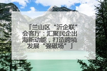 兰山区“沂企联”会客厅：汇聚民企出海新动能，打造跨境发展“强磁场”