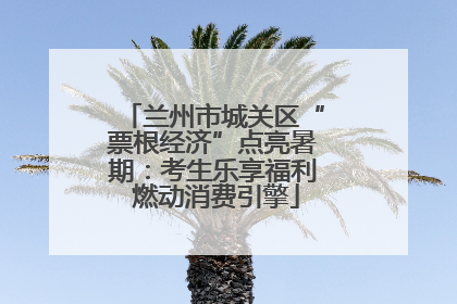 兰州市城关区“票根经济”点亮暑期：考生乐享福利 燃动消费引擎
