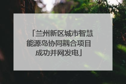 兰州新区城市智慧能源岛协同耦合项目成功并网发电