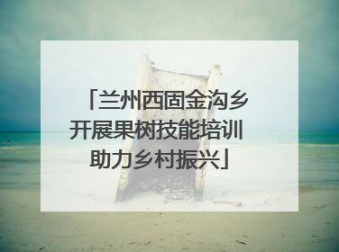 兰州西固金沟乡开展果树技能培训 助力乡村振兴