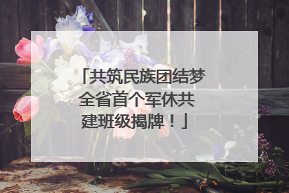 共筑民族团结梦 全省首个军休共建班级揭牌！