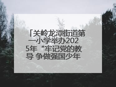 关岭龙潭街道第一小学举办2025年“牢记党的教导 争做强国少年”“六一”文艺汇演活动