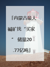 内蒙古最大碱矿找“买家” 储量20.77亿吨