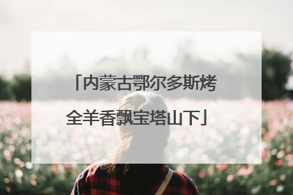 内蒙古鄂尔多斯烤全羊香飘宝塔山下