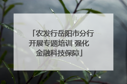 农发行岳阳市分行开展专题培训 强化金融科技保障