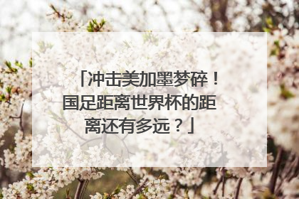 冲击美加墨梦碎！国足距离世界杯的距离还有多远？