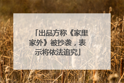 出品方称《家里家外》被抄袭，表示将依法追究