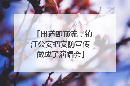 出道即顶流，镇江公安把安防宣传做成了演唱会