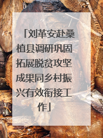 刘革安赴桑植县调研巩固拓展脱贫攻坚成果同乡村振兴有效衔接工作