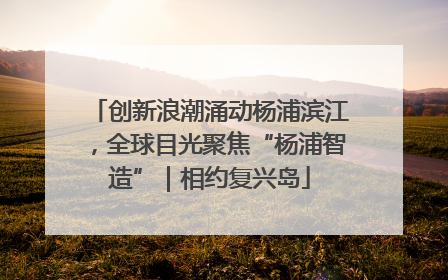 创新浪潮涌动杨浦滨江，全球目光聚焦“杨浦智造”｜相约复兴岛