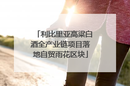 利比里亚高粱白酒全产业链项目落地自贸雨花区块