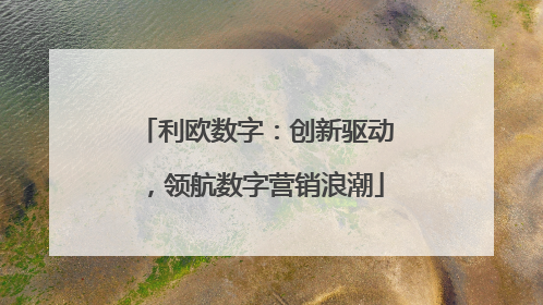 利欧数字：创新驱动，领航数字营销浪潮