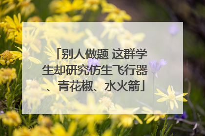 别人做题 这群学生却研究仿生飞行器、青花椒、水火箭