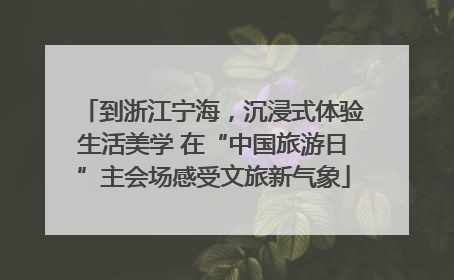 到浙江宁海，沉浸式体验生活美学 在“中国旅游日”主会场感受文旅新气象