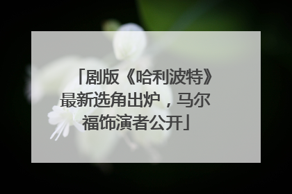 剧版《哈利波特》最新选角出炉，马尔福饰演者公开