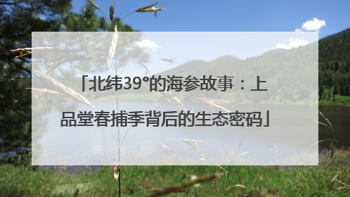 北纬39°的海参故事：上品堂春捕季背后的生态密码