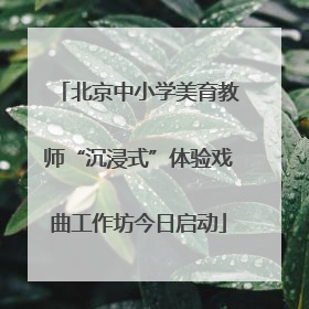 北京中小学美育教师“沉浸式”体验戏曲工作坊今日启动