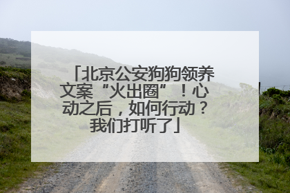 北京公安狗狗领养文案“火出圈”！心动之后，如何行动？我们打听了