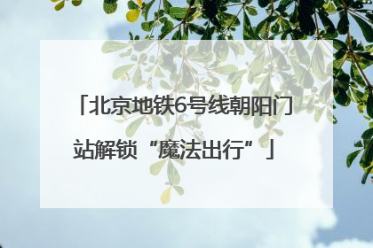 北京地铁6号线朝阳门站解锁“魔法出行”
