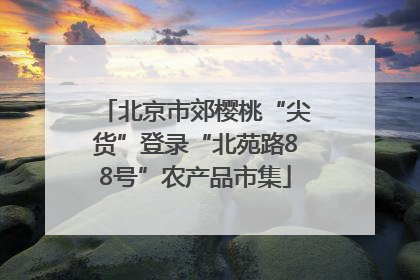 北京市郊樱桃“尖货”登录“北苑路88号”农产品市集