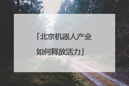 北京机器人产业如何释放活力