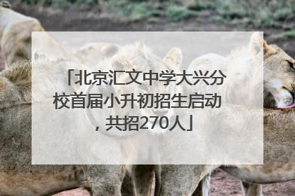 北京汇文中学大兴分校首届小升初招生启动，共招270人