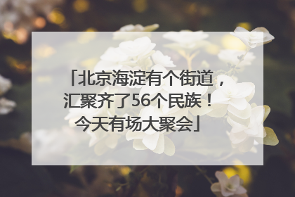 北京海淀有个街道，汇聚齐了56个民族！今天有场大聚会