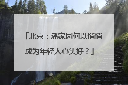 北京：潘家园何以悄悄成为年轻人心头好？