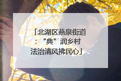 北湖区燕泉街道：“典”润乡村 法治清风拂民心