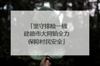 坚守排险一线 建德市大同镇全力保障村民安全